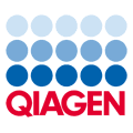 Intern Global Tax