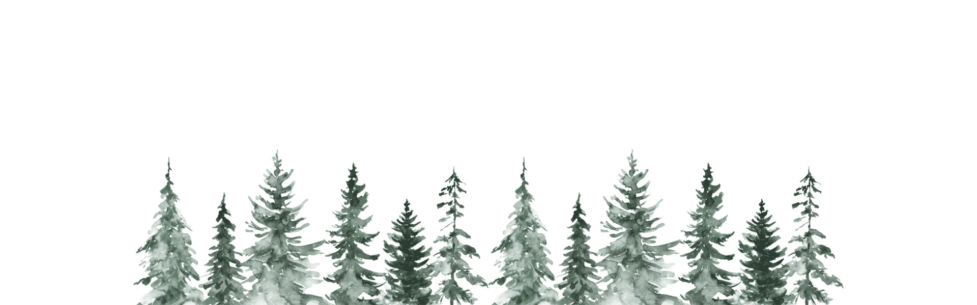 Aquarellgrafik von Tannenbäumen in verschiedenen Höhen und Grüntönen vor einem weißen Hintergrund.